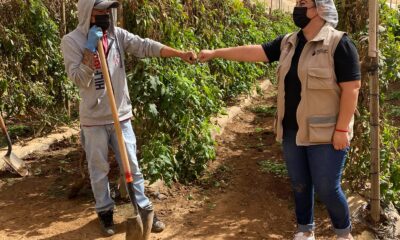INEA brinda atención educativa a 958 jornaleras y jornaleros agrícolas migrantes en todo el país