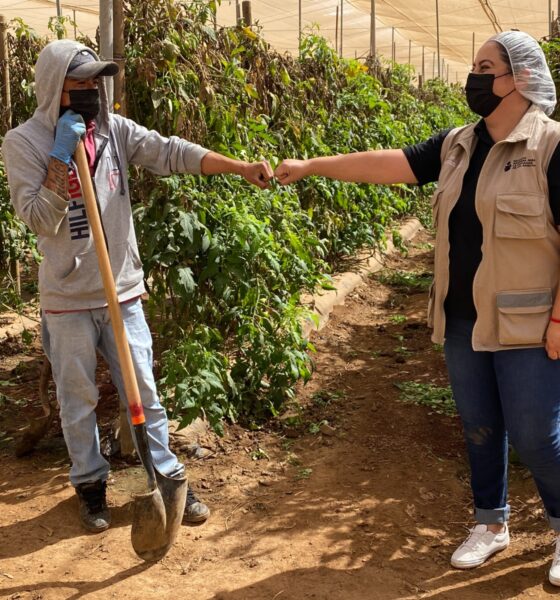 INEA brinda atención educativa a 958 jornaleras y jornaleros agrícolas migrantes en todo el país