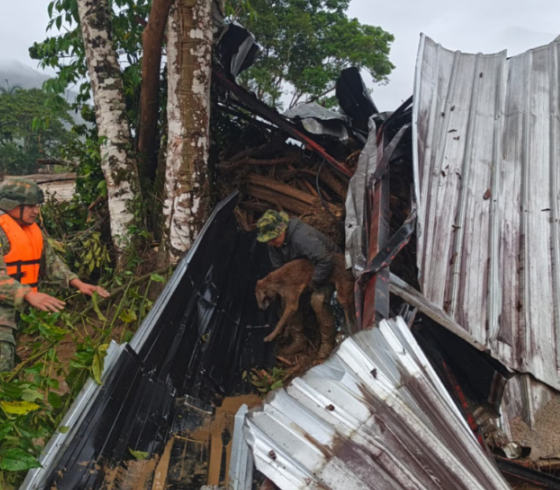 Aluvión en Ecuador deja cinco personas fallecidas y mantiene labores de búsqueda en Zamora Chinchipe