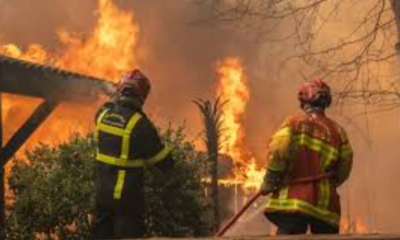 Europa enfrenta intensa ola de incendios forestales