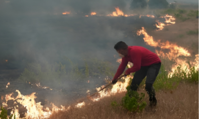 Francia enfrenta una de las temporadas de incendios forestales más severas de su historia reciente, con múltiples focos activos que han obligado a evacuar siete municipios en los últimos tres días, principalmente en el departamento de Gironda, al suroeste del país. De acuerdo con el ministro del Interior, Laurent Nuñez, durante 2026 el fuego ha consumido cerca de 98 mil hectáreas, la mayor superficie afectada registrada hasta ahora, lo que mantiene en alerta a las autoridades y cuerpos de emergencia. El incendio más grave se localiza en Gironda, con avance en dirección a la ciudad de Burdeos. Las llamas han devastado al menos 32 mil 700 hectáreas y provocado la evacuación de más de 200 mil personas. Considerado el mayor incendio registrado en Francia en los últimos 50 años, el siniestro se encuentra a aproximadamente 30 kilómetros de Burdeos. Para combatir el fuego, las autoridades han desplegado un operativo integrado por más de 800 bomberos, 500 militares y un avión de transporte militar A400M adaptado para las labores de apoyo. Además, existe preocupación por la cercanía del incendio a una zona industrial de alto riesgo en Saint-Médard-en-Jalles, donde se fabrican componentes para misiles y el cohete europeo Ariane. La emergencia también afecta al departamento de Las Landas, donde un segundo incendio ha consumido alrededor de tres mil hectáreas, lo que llevó a ordenar evacuaciones preventivas en las localidades de Biscarrosse, Parentis y Sanguinet. Otro de los principales frentes se mantiene activo en el departamento de Var, entre las ciudades de Niza y Marsella. En esa región fueron evacuados los habitantes de Pignans y Montfort-sur-Argens, aunque parte de la población ya pudo regresar a sus viviendas conforme mejoraron las condiciones. Ante la magnitud de la emergencia y la extensión de los incendios, el Gobierno de Francia solicitó apoyo a la Unión Europea para reforzar las labores de combate al fuego y proteger a las comunidades afectadas.