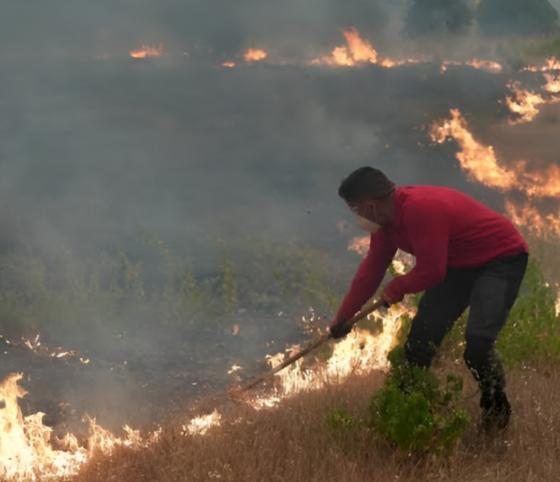 Francia enfrenta una de las temporadas de incendios forestales más severas de su historia reciente, con múltiples focos activos que han obligado a evacuar siete municipios en los últimos tres días, principalmente en el departamento de Gironda, al suroeste del país. De acuerdo con el ministro del Interior, Laurent Nuñez, durante 2026 el fuego ha consumido cerca de 98 mil hectáreas, la mayor superficie afectada registrada hasta ahora, lo que mantiene en alerta a las autoridades y cuerpos de emergencia. El incendio más grave se localiza en Gironda, con avance en dirección a la ciudad de Burdeos. Las llamas han devastado al menos 32 mil 700 hectáreas y provocado la evacuación de más de 200 mil personas. Considerado el mayor incendio registrado en Francia en los últimos 50 años, el siniestro se encuentra a aproximadamente 30 kilómetros de Burdeos. Para combatir el fuego, las autoridades han desplegado un operativo integrado por más de 800 bomberos, 500 militares y un avión de transporte militar A400M adaptado para las labores de apoyo. Además, existe preocupación por la cercanía del incendio a una zona industrial de alto riesgo en Saint-Médard-en-Jalles, donde se fabrican componentes para misiles y el cohete europeo Ariane. La emergencia también afecta al departamento de Las Landas, donde un segundo incendio ha consumido alrededor de tres mil hectáreas, lo que llevó a ordenar evacuaciones preventivas en las localidades de Biscarrosse, Parentis y Sanguinet. Otro de los principales frentes se mantiene activo en el departamento de Var, entre las ciudades de Niza y Marsella. En esa región fueron evacuados los habitantes de Pignans y Montfort-sur-Argens, aunque parte de la población ya pudo regresar a sus viviendas conforme mejoraron las condiciones. Ante la magnitud de la emergencia y la extensión de los incendios, el Gobierno de Francia solicitó apoyo a la Unión Europea para reforzar las labores de combate al fuego y proteger a las comunidades afectadas.