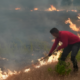 Francia enfrenta una de las temporadas de incendios forestales más severas de su historia reciente, con múltiples focos activos que han obligado a evacuar siete municipios en los últimos tres días, principalmente en el departamento de Gironda, al suroeste del país. De acuerdo con el ministro del Interior, Laurent Nuñez, durante 2026 el fuego ha consumido cerca de 98 mil hectáreas, la mayor superficie afectada registrada hasta ahora, lo que mantiene en alerta a las autoridades y cuerpos de emergencia. El incendio más grave se localiza en Gironda, con avance en dirección a la ciudad de Burdeos. Las llamas han devastado al menos 32 mil 700 hectáreas y provocado la evacuación de más de 200 mil personas. Considerado el mayor incendio registrado en Francia en los últimos 50 años, el siniestro se encuentra a aproximadamente 30 kilómetros de Burdeos. Para combatir el fuego, las autoridades han desplegado un operativo integrado por más de 800 bomberos, 500 militares y un avión de transporte militar A400M adaptado para las labores de apoyo. Además, existe preocupación por la cercanía del incendio a una zona industrial de alto riesgo en Saint-Médard-en-Jalles, donde se fabrican componentes para misiles y el cohete europeo Ariane. La emergencia también afecta al departamento de Las Landas, donde un segundo incendio ha consumido alrededor de tres mil hectáreas, lo que llevó a ordenar evacuaciones preventivas en las localidades de Biscarrosse, Parentis y Sanguinet. Otro de los principales frentes se mantiene activo en el departamento de Var, entre las ciudades de Niza y Marsella. En esa región fueron evacuados los habitantes de Pignans y Montfort-sur-Argens, aunque parte de la población ya pudo regresar a sus viviendas conforme mejoraron las condiciones. Ante la magnitud de la emergencia y la extensión de los incendios, el Gobierno de Francia solicitó apoyo a la Unión Europea para reforzar las labores de combate al fuego y proteger a las comunidades afectadas.