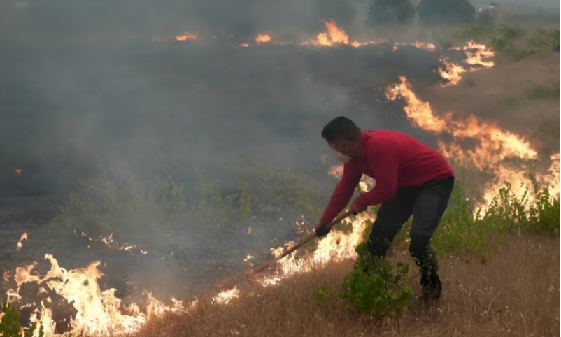 Francia enfrenta una de las temporadas de incendios forestales más severas de su historia reciente, con múltiples focos activos que han obligado a evacuar siete municipios en los últimos tres días, principalmente en el departamento de Gironda, al suroeste del país. De acuerdo con el ministro del Interior, Laurent Nuñez, durante 2026 el fuego ha consumido cerca de 98 mil hectáreas, la mayor superficie afectada registrada hasta ahora, lo que mantiene en alerta a las autoridades y cuerpos de emergencia. El incendio más grave se localiza en Gironda, con avance en dirección a la ciudad de Burdeos. Las llamas han devastado al menos 32 mil 700 hectáreas y provocado la evacuación de más de 200 mil personas. Considerado el mayor incendio registrado en Francia en los últimos 50 años, el siniestro se encuentra a aproximadamente 30 kilómetros de Burdeos. Para combatir el fuego, las autoridades han desplegado un operativo integrado por más de 800 bomberos, 500 militares y un avión de transporte militar A400M adaptado para las labores de apoyo. Además, existe preocupación por la cercanía del incendio a una zona industrial de alto riesgo en Saint-Médard-en-Jalles, donde se fabrican componentes para misiles y el cohete europeo Ariane. La emergencia también afecta al departamento de Las Landas, donde un segundo incendio ha consumido alrededor de tres mil hectáreas, lo que llevó a ordenar evacuaciones preventivas en las localidades de Biscarrosse, Parentis y Sanguinet. Otro de los principales frentes se mantiene activo en el departamento de Var, entre las ciudades de Niza y Marsella. En esa región fueron evacuados los habitantes de Pignans y Montfort-sur-Argens, aunque parte de la población ya pudo regresar a sus viviendas conforme mejoraron las condiciones. Ante la magnitud de la emergencia y la extensión de los incendios, el Gobierno de Francia solicitó apoyo a la Unión Europea para reforzar las labores de combate al fuego y proteger a las comunidades afectadas.