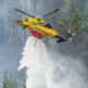 Ontario mantiene alerta por más de 180 incendios forestales activos