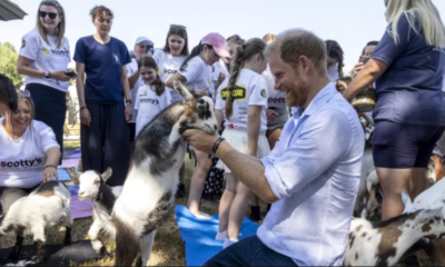 Príncipe Harry participa en sesión de yoga con cabras durante evento benéfico en Reino Unido