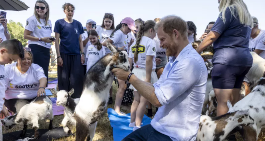 Príncipe Harry participa en sesión de yoga con cabras durante evento benéfico en Reino Unido