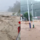 Tifón Bavi deja decenas de heridos y provoca evacuaciones masivas en Taiwán y China