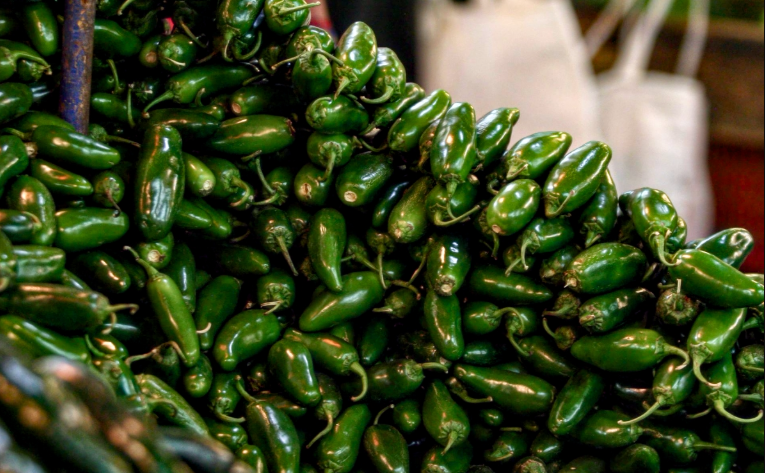 Descartan presencia de Salmonella spp. en muestras de chile jalapeño verde