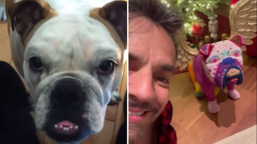 Eugenio Derbez recuerda a su perrita Fiona a tres años de su muerte