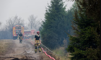 Incendio forestal en Bélgica supera récord histórico y amenaza con extenderse a Alemania