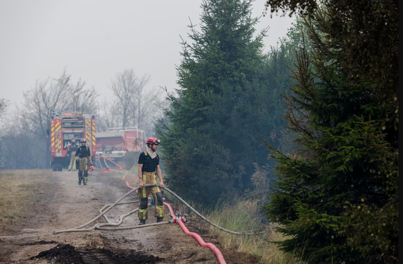 Incendio forestal en Bélgica supera récord histórico y amenaza con extenderse a Alemania