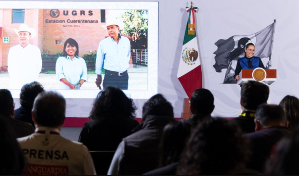 México reanuda exportación de ganado en pie desde Sonora hacia Estados Unidos
