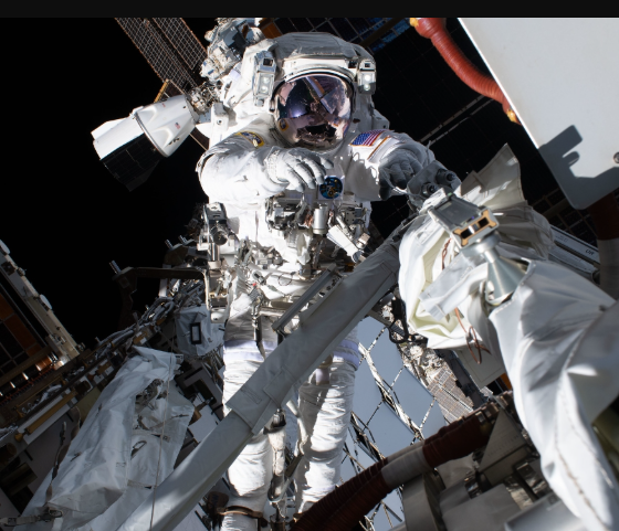Microbios transportados por astronautas podrían sobrevivir en zonas de sombra de la Luna