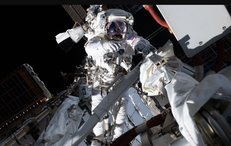 Microbios transportados por astronautas podrían sobrevivir en zonas de sombra de la Luna
