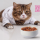Profeco analiza alimentos húmedos para gato