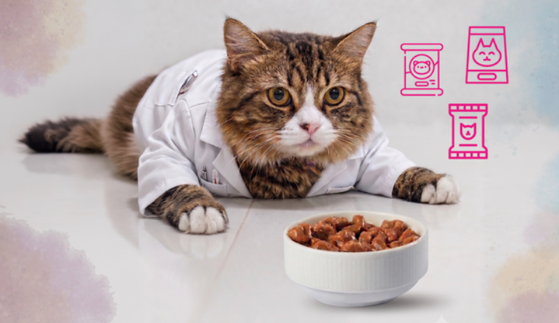 Profeco analiza alimentos húmedos para gato