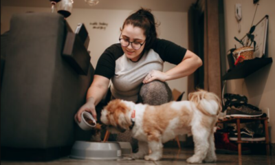 Retiran alimento para perros por posible contaminación con salmonela