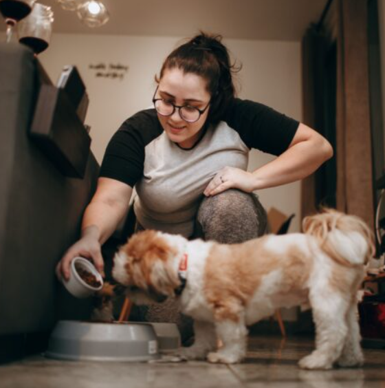 Retiran alimento para perros por posible contaminación con salmonela