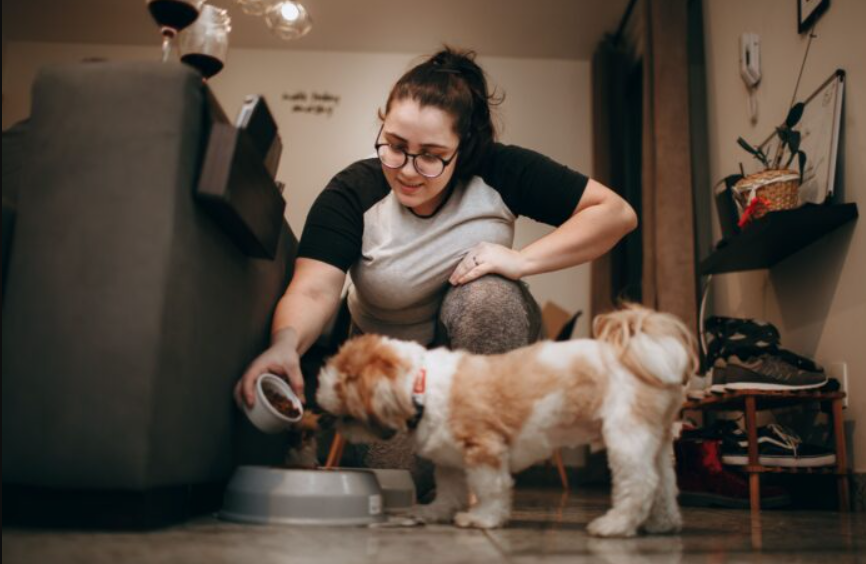 Retiran alimento para perros por posible contaminación con salmonela