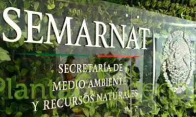 Semarnat recupera más de 644 kilogramos de plásticos de un solo uso con campaña “Gol por el Ambiente”