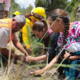 Sheinbaum encabeza Jornada Nacional de Reforestación 2026