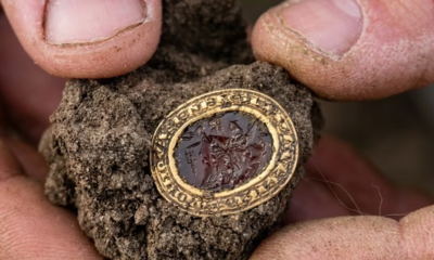 Hallan en Inglaterra un anillo de oro del siglo XIV que podría haber pertenecido a una condesa medieval
