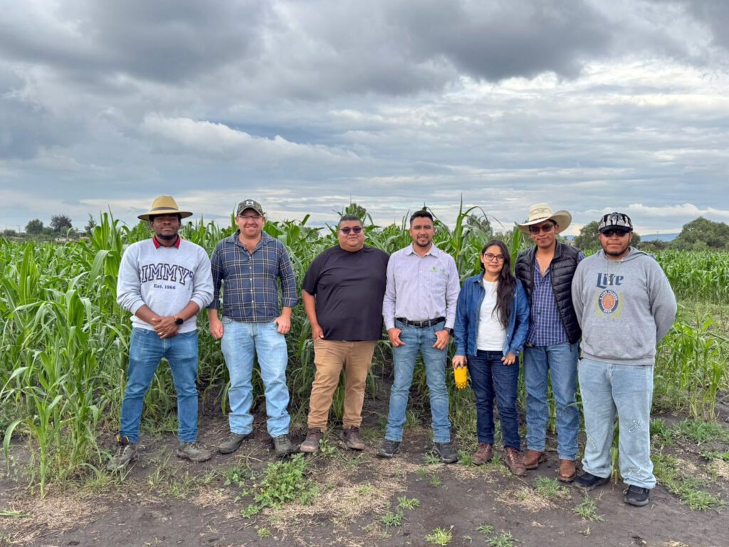 ITESHU y CIMMYT desarrollan alternativas para mejorar la producción agrícola