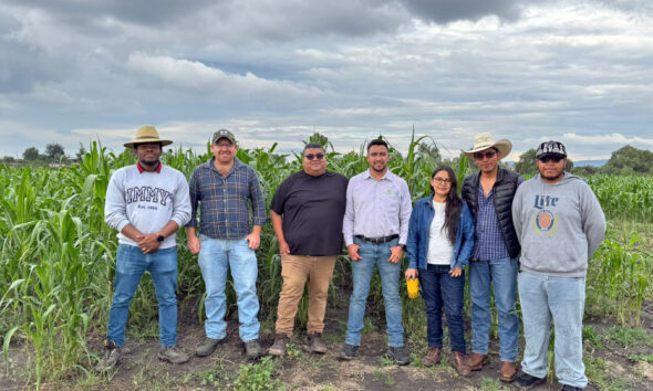 ITESHU y CIMMYT desarrollan alternativas para mejorar la producción agrícola
