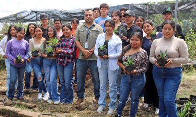 Investigación del ITESHU impulsa conservación del agave en Hidalgo