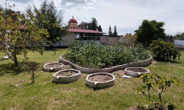 Cobaeh avanza en la creación de jardines polinizadores