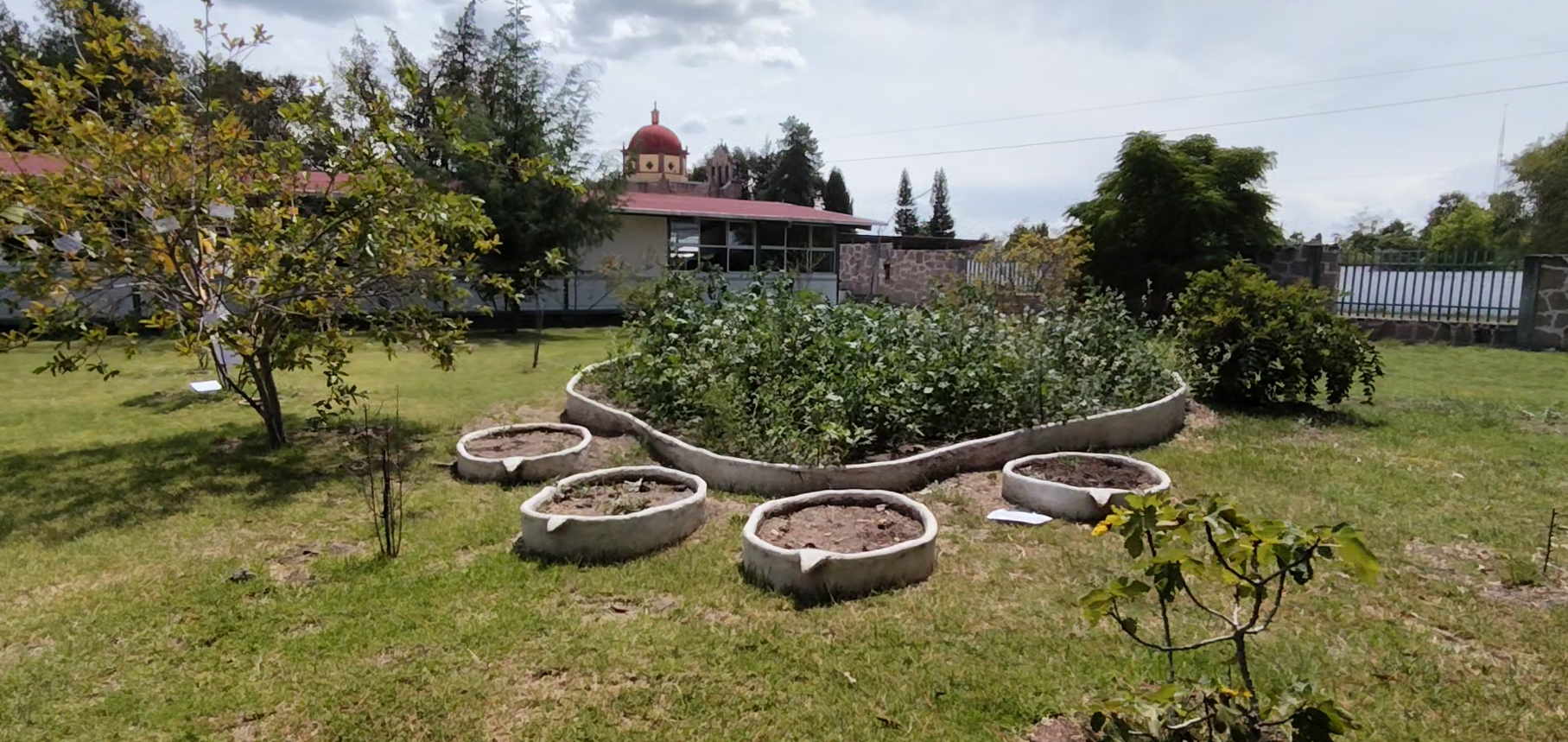 Cobaeh avanza en la creación de jardines polinizadores