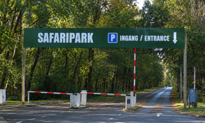 Muere cuidadora de zoológico en Países Bajos tras ser atacada por dos leopardos persas