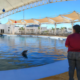 Profepa realiza visita de verificación tras fallecimiento de delfín en Delfinario Sonora