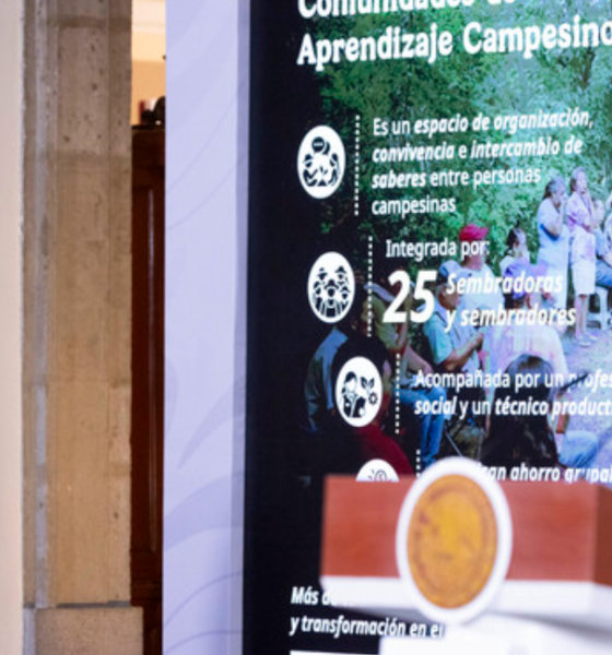 Sembrando Vida busca plantar mil 500 millones de árboles y plantas durante el sexenio